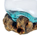 Melted Glass on Gamal Root Wood Decorative Bowl, Vase, and Terrarium Planter - Approximately 5 Inches High - Nature-Inspired