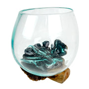 Melted Glass on Gamal Root Wood Decorative Bowl, Vase, and Terrarium Planter - Approximately 5 Inches High - Nature-Inspired
