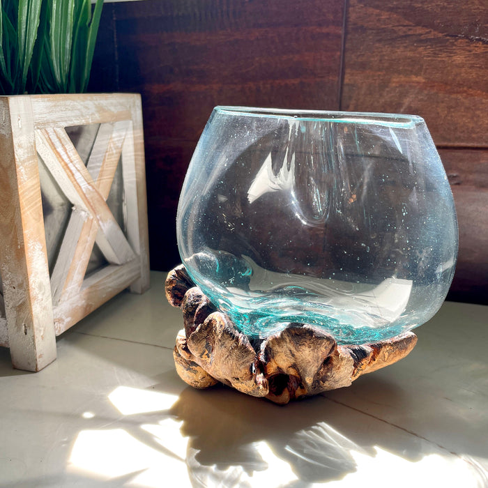 Melted Glass on Gamal Root Wood Decorative Bowl, Vase, and Terrarium Planter - Approximately 5 Inches High - Nature-Inspired