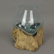 Handcrafted Melted Glass and Teak Driftwood Centerpiece Bowl / Sculpture- Unique 7-Inch Earthy Artistry for Succulents,