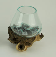 One Size - Image 5 - Planter Terrarium with Molten Glass Bowl on Teak Driftwood, 8.5 Inch