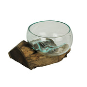 Decorative Vase, 10 Inch Wide-Mouth Molten Glass on Teak Driftwood Image 2
