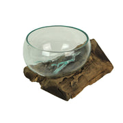 Decorative Vase, 10 Inch Wide-Mouth Molten Glass on Teak Driftwood Image 8