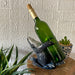 Blue - Image 4 - Humpback Whale Wine Bottle Holder – Whimsical Resin Decor for Coastal Home – 5.75 Inches High, 8.5 Inches