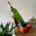 Red - Image 4 - Vibrant Parrot Wine Bottle Holder – Tropical Resin Decor for Home – 6.25 Inches High, 9.25 Inches Long –