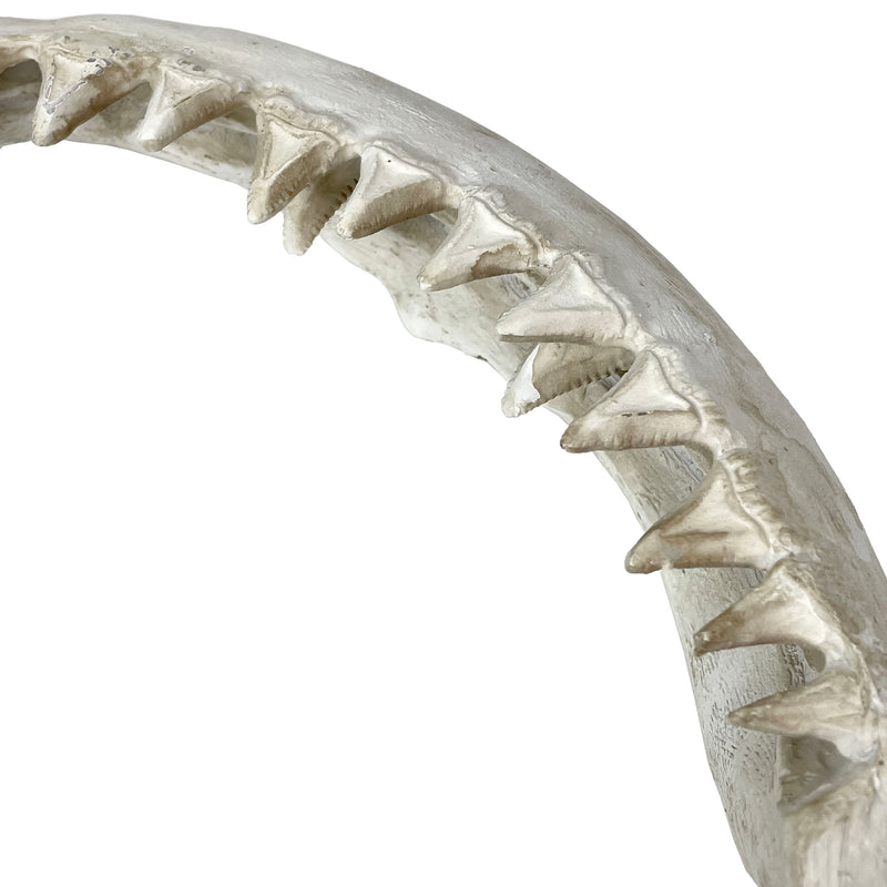 Replica Shark Jaw 15.5 Inch Resin Wall Sculpture, Realistic Off-White Shark Jaws Coastal Nautical Wall Decor for Beach House