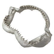 Replica Shark Jaw 15.5 Inch Resin Wall Sculpture, Realistic Off-White Shark Jaws Coastal Nautical Wall Decor for Beach House