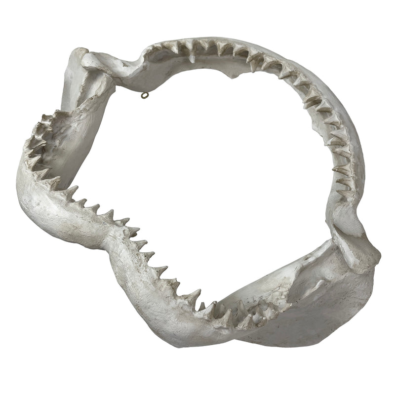 Replica Shark Jaw 15.5 Inch Resin Wall Sculpture, Realistic Off-White Shark Jaws Coastal Nautical Wall Decor for Beach House