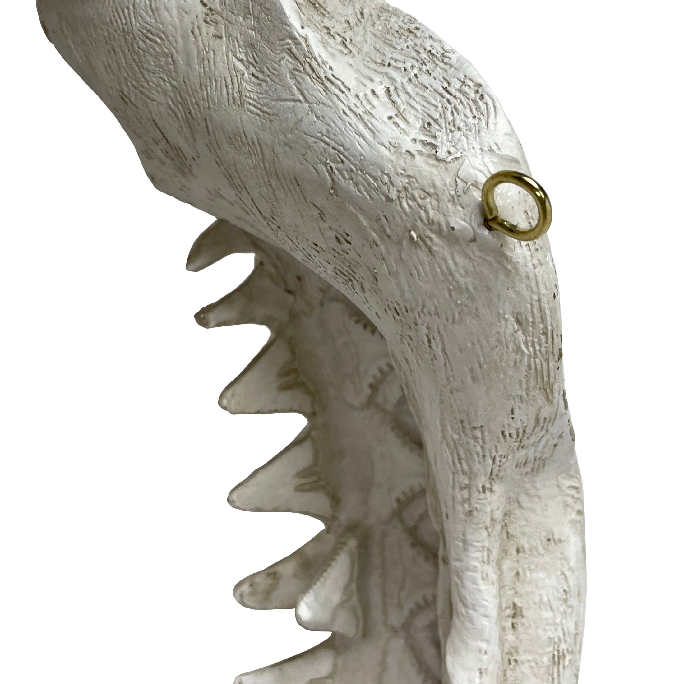 Replica Shark Jaw Wall Sculpture — Zeckos
