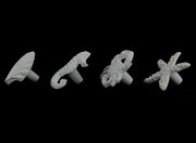White - Image 2 - Set of 4 Coastal White Cast Iron Sea Life Drawer Pulls - Nautical Cabinet Knobs with Rustic Beach House