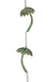 Bronze - Image 2 - Metal Tropical Palm Tree Rain Chain with Attached Hanger 72 inch