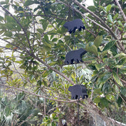 Black - Image 4 - Black Bear Rain Chain, 75 Inch Metal with 8 Bears and Bell