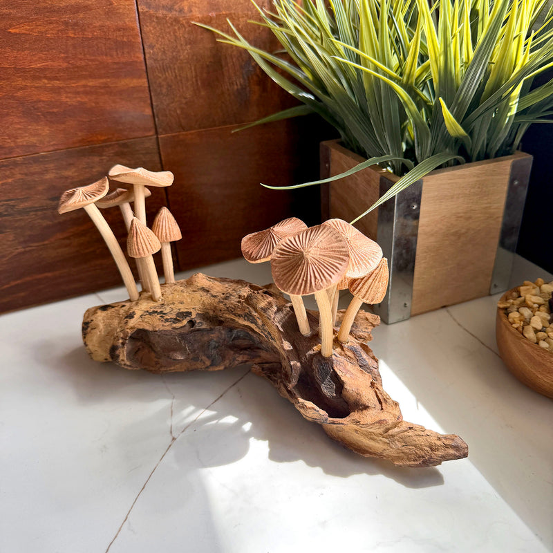 10 Inch - Image 4 - Wood Mushroom Sculpture, 10 Inch Wide Root Base Cluster