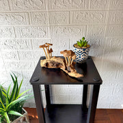 10 Inch - Image 5 - Wood Mushroom Sculpture, 10 Inch Wide Root Base Cluster