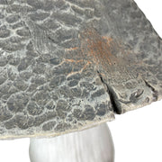 White - MGO - 14 inch - Image 3 - Mushroom Statue 14" High, Magnesium Oxide Garden Decoration, Heavyweight Rustic Sculpture