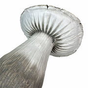 White - MGO - 14 inch - Image 9 - Mushroom Statue 14" High, Magnesium Oxide Garden Decoration, Heavyweight Rustic Sculpture
