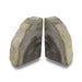 Indonesian Light Colored Petrified Wood Bookends 4-6 Pounds Image 1