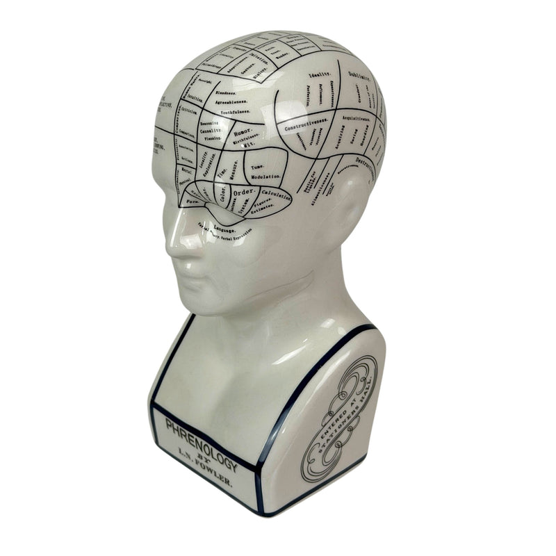 Head - Image 5 - Zeckos Ceramic Phrenology Head Bust Figurine, White Glossy Collectible with Subtle Crackle Finish, 7.5 Inch