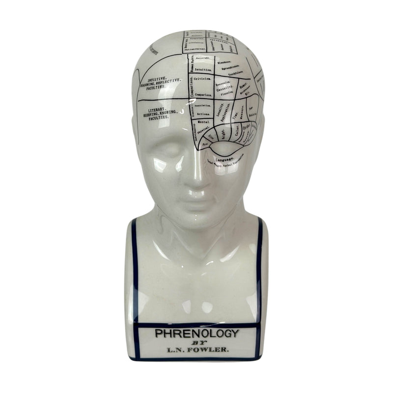 Head - Image 2 - Zeckos Ceramic Phrenology Head Bust Figurine, White Glossy Collectible with Subtle Crackle Finish, 7.5 Inch