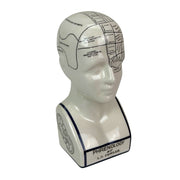 Head - Image 1 - Zeckos Ceramic Phrenology Head Bust Figurine, White Glossy Collectible with Subtle Crackle Finish, 7.5 Inch