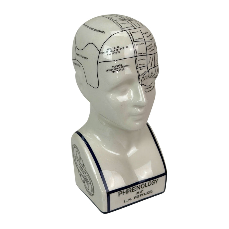 Head - Image 1 - Zeckos Ceramic Phrenology Head Bust Figurine, White Glossy Collectible with Subtle Crackle Finish, 7.5 Inch