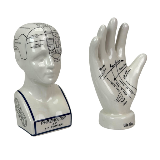 Head & Hand - Image 1 - Zeckos Collectible Figurines Set, White Ceramic Phrenology Head Bust and Palmistry Hand Statues,