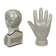 Head & Hand - Image 3 - Zeckos Collectible Figurines Set, White Ceramic Phrenology Head Bust and Palmistry Hand Statues,