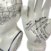 Head & Hand - Image 5 - Zeckos Collectible Figurines Set, White Ceramic Phrenology Head Bust and Palmistry Hand Statues,