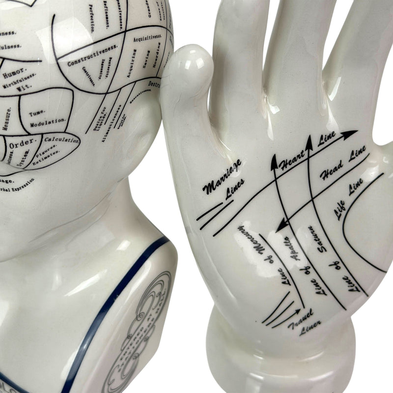 Head & Hand - Image 5 - Zeckos Collectible Figurines Set, White Ceramic Phrenology Head Bust and Palmistry Hand Statues,