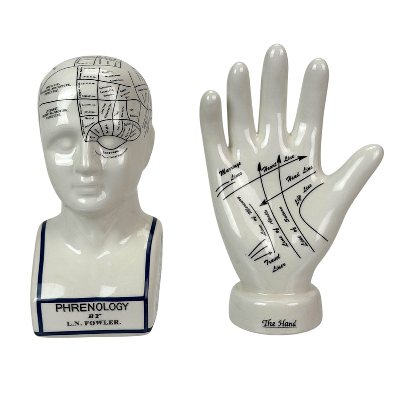 Head & Hand - Image 2 - Zeckos Collectible Figurines Set, White Ceramic Phrenology Head Bust and Palmistry Hand Statues,