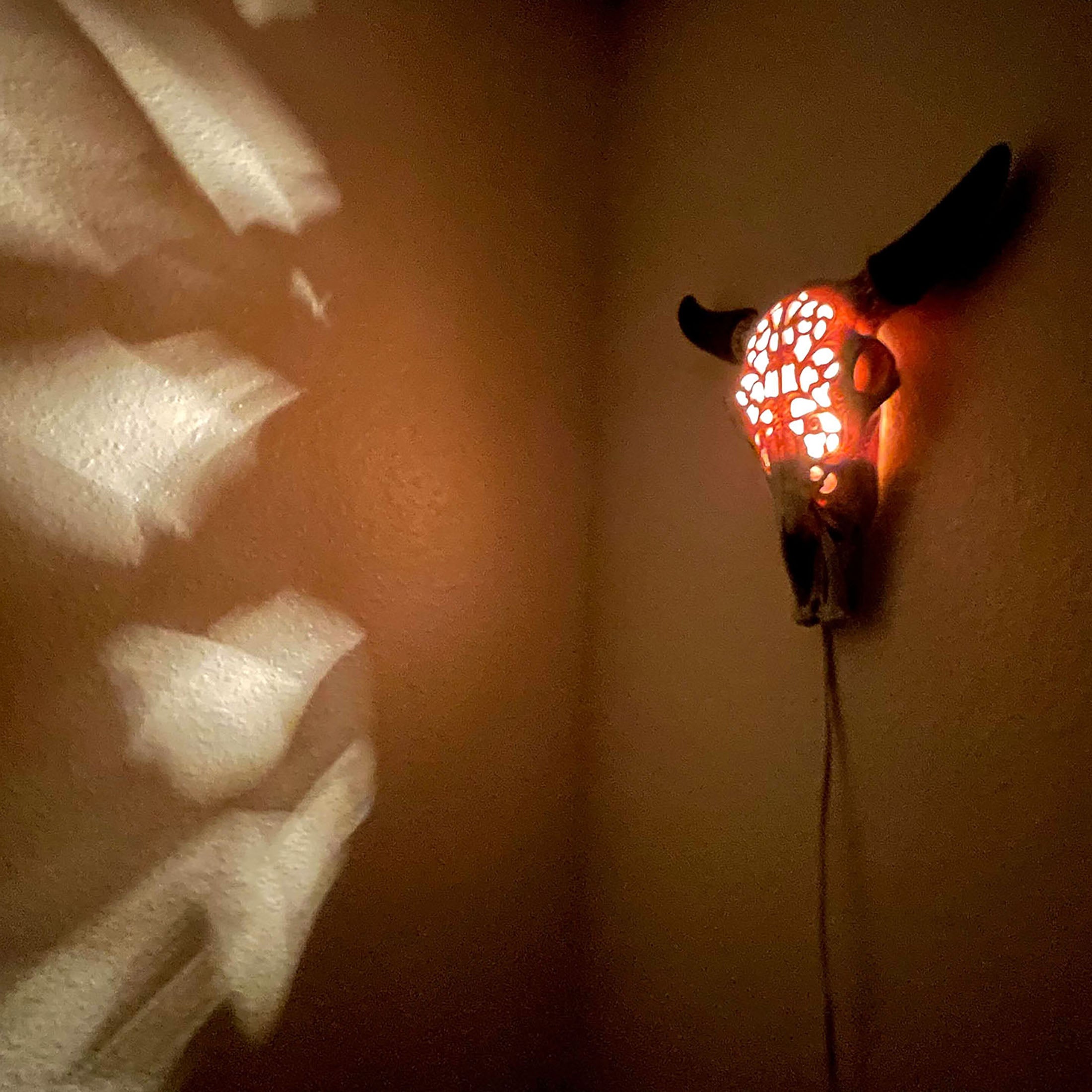 Western Steer Skull Wall Or Table Accent Lamp w/ Removable Metal