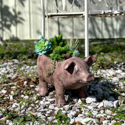 Brown - Image 7 - Rustic Brown Smiling Pig Resin Decorative Planter - 17 Inches Long - Great For Flowers and Succulents -