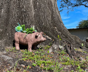 Brown - Image 8 - Rustic Brown Smiling Pig Resin Decorative Planter - 17 Inches Long - Great For Flowers and Succulents -