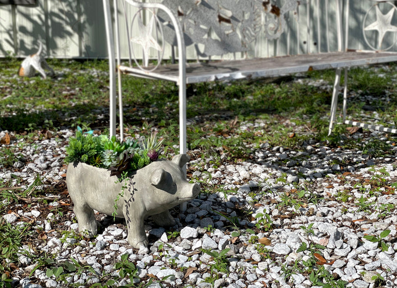 Grey - Image 4 - Charming Rustic Weathered Grey Smiling Pig Resin Planter Plant Pot - Adorable Outdoor Décor Accent for