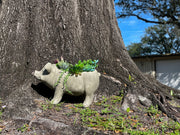 Grey - Image 5 - Charming Rustic Weathered Grey Smiling Pig Resin Planter Plant Pot - Adorable Outdoor Décor Accent for