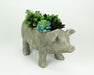 Grey - Image 2 - Charming Rustic Weathered Grey Smiling Pig Resin Planter Plant Pot - Adorable Outdoor Décor Accent for