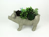 Grey - Image 6 - Charming Rustic Weathered Grey Smiling Pig Resin Planter Plant Pot - Adorable Outdoor Décor Accent for