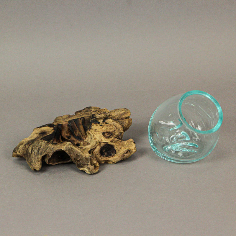 Set of 2 Mini Blown Glass on Driftwood Decorative Vases - Artistic Fusion of Molten Glass and Natural Wood - Boho Decor,