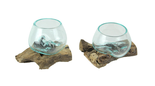 Set of 2 Blown Molten Glass and Teak Driftwood Decorative Bowls, Vases, and Terrariums, Each Unique Piece a Celebration of