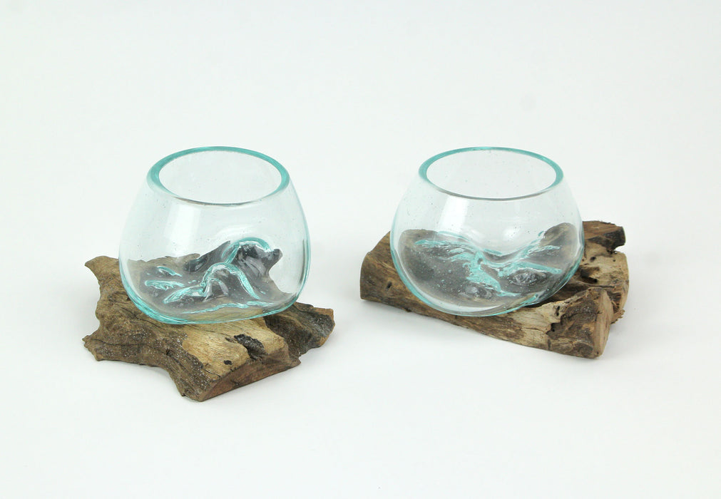 Set of 2 Blown Molten Glass and Teak Driftwood Decorative Bowls, Vases, and Terrariums, Each Unique Piece a Celebration of