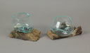 Set of 2 Blown Molten Glass and Teak Driftwood Decorative Bowls, Vases, and Terrariums, Each Unique Piece a Celebration of