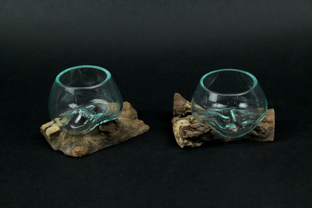 Set of 2 Blown Molten Glass and Teak Driftwood Decorative Bowls, Vases, and Terrariums, Each Unique Piece a Celebration of