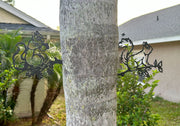 Set of 2 Black Metal Squirrel Tree Stakes for Outdoor Garden and Yard Decorations - Whimsical 11-Inch Long Silhouette Plaques