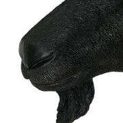 11.5-Inch High Black Finish Baphomet Goat Head Bust Resin Wall Sculpture: A Gothic Decor and Occult Art Piece That Adds