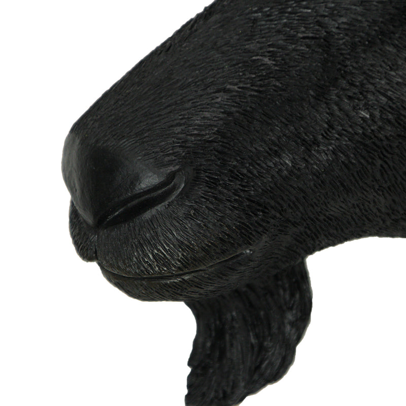 11.5-Inch High Black Finish Baphomet Goat Head Bust Resin Wall Sculpture: A Gothic Decor and Occult Art Piece That Adds