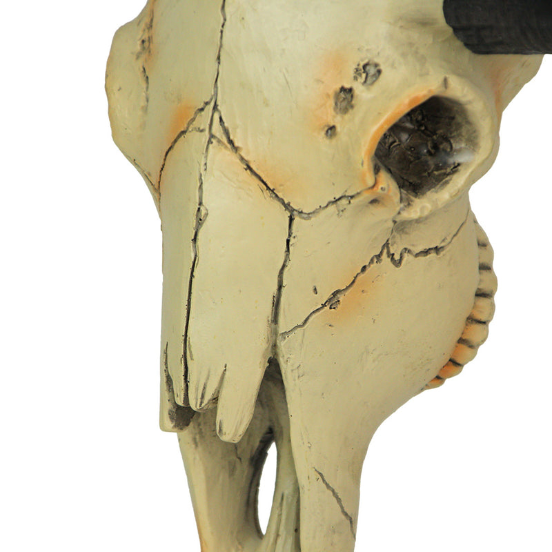 15-Inch Longhorn Steer Skull Resin Home Decor: A Stunning Blend of Decorative Art and Craftsmanship for Your Wall, Desk, or