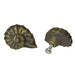 Bronze - Image 3 - Set of 6 Rustic Aged Bronze Finish Cast Iron Nautilus Shell Drawer Pulls - 2 Inches Long - Nautical