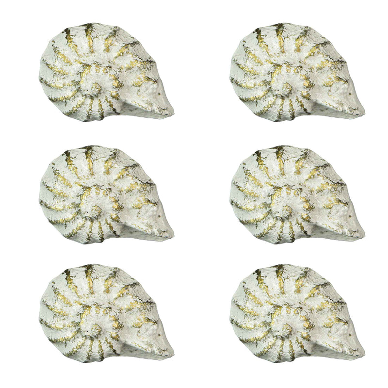 White - Image 7 - Set of 6 Rustic Antique White Finish Cast Iron Nautilus Shell Drawer Pulls - 2 Inches Long - Nautical