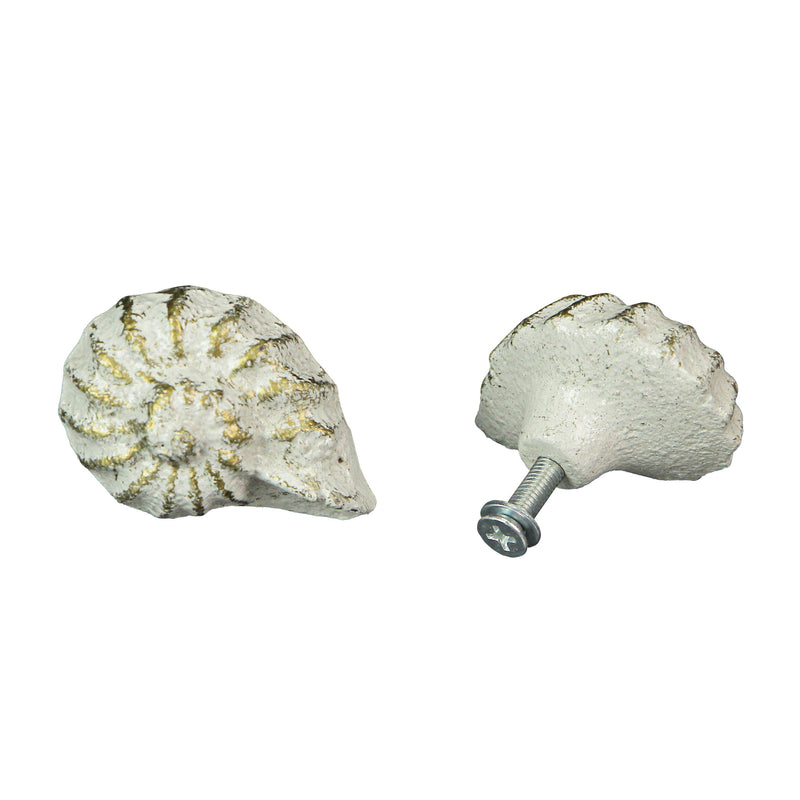 White - Image 3 - Set of 6 Rustic Antique White Finish Cast Iron Nautilus Shell Drawer Pulls - 2 Inches Long - Nautical