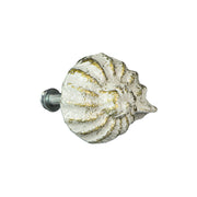 White - Image 6 - Set of 6 Rustic Antique White Finish Cast Iron Nautilus Shell Drawer Pulls - 2 Inches Long - Nautical